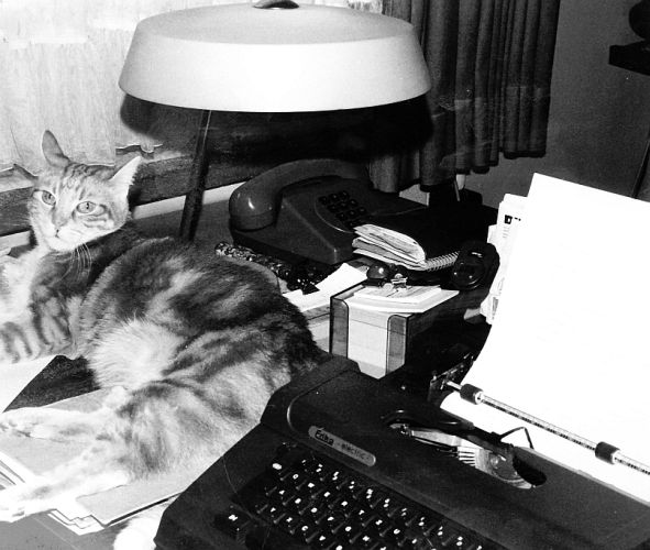 Der langjährige Arbeitsplatz des Autors - Dicht bei der Schreibmaschine wärmt sich Lieblingskater "Füchschen" unter der Tischlampe